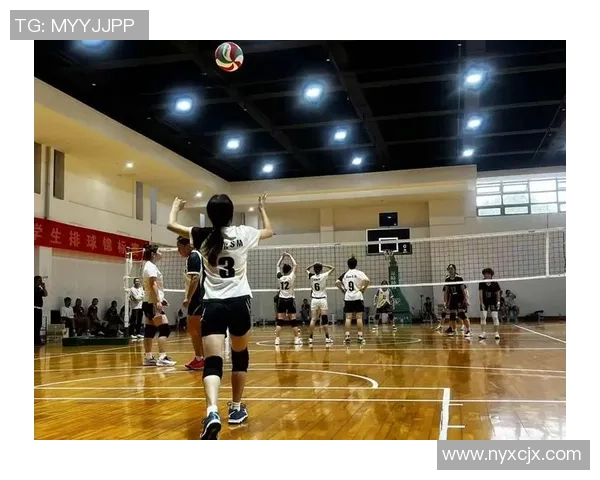 上海排球队的精神面貌与团队意识深度解析